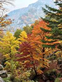 密雲小眾紅葉秘境人少景美還免費！