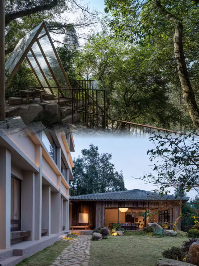 窗外即前景大片!穿越森林的藝術秘境 窗外即前景大片!穿越森林的藝術秘境