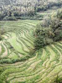 醉美篁嶺曬秋攻略