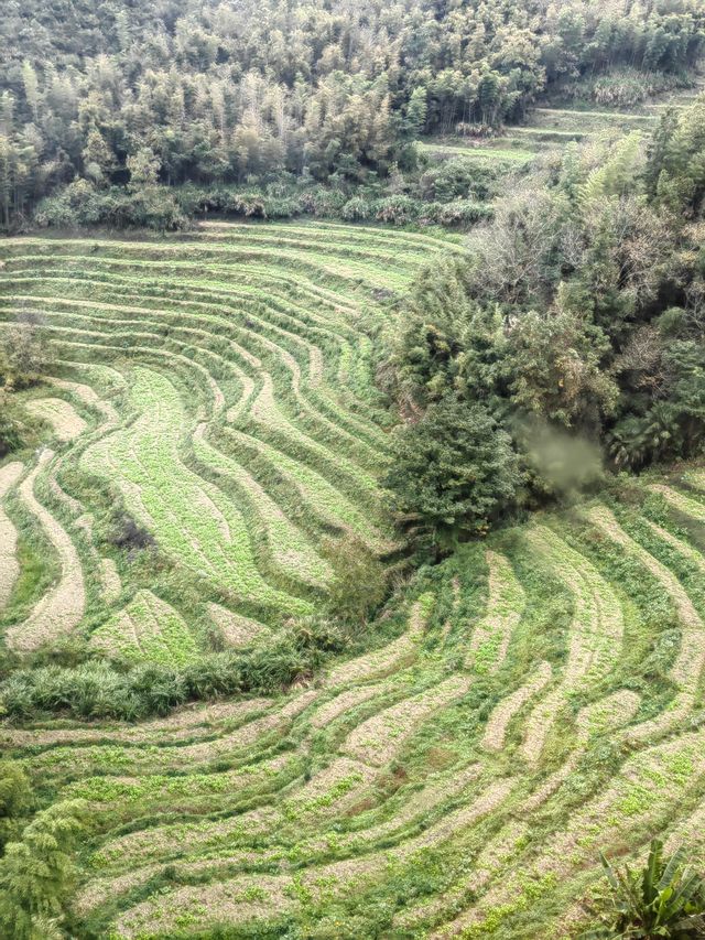 醉美篁嶺曬秋攻略