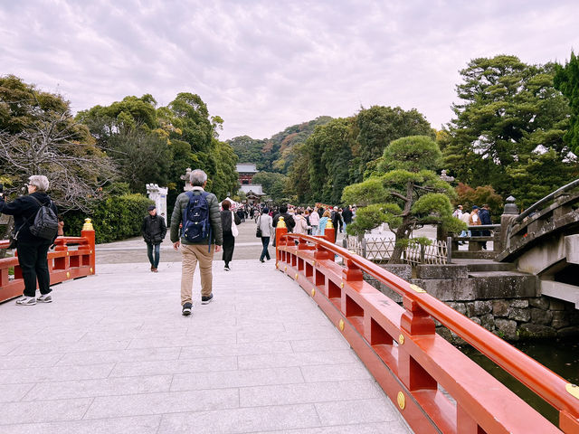 鶴岡八幡宮｜鎌倉最具代表性的神社散步路線 ⛩️🍁