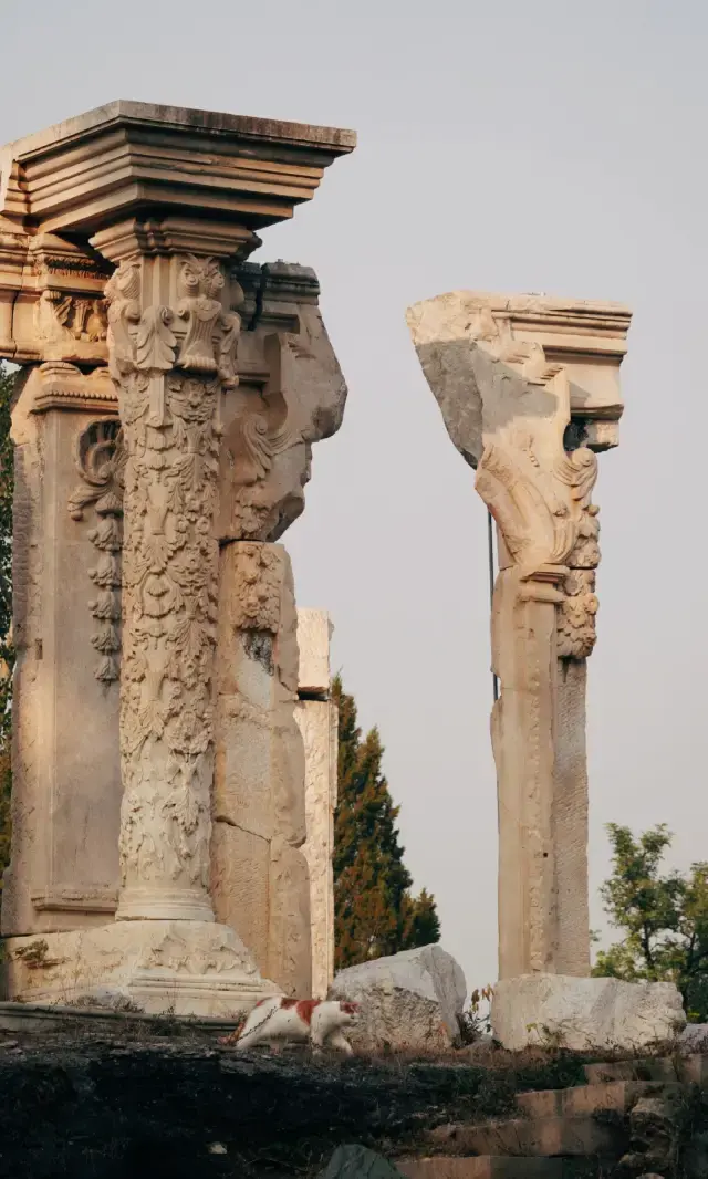 當我第一次真正見到圓明園的斷壁殘垣