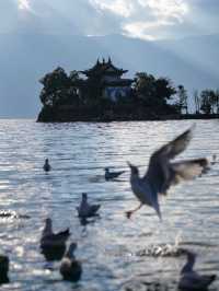 11月的大理，是打翻了的調色盤啊！附超全攻略