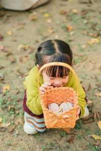 杭州出發1h,銀杏林農場是秋冬遛娃天花板