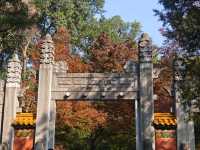 高效打卡經典路線，親測不踩雷！