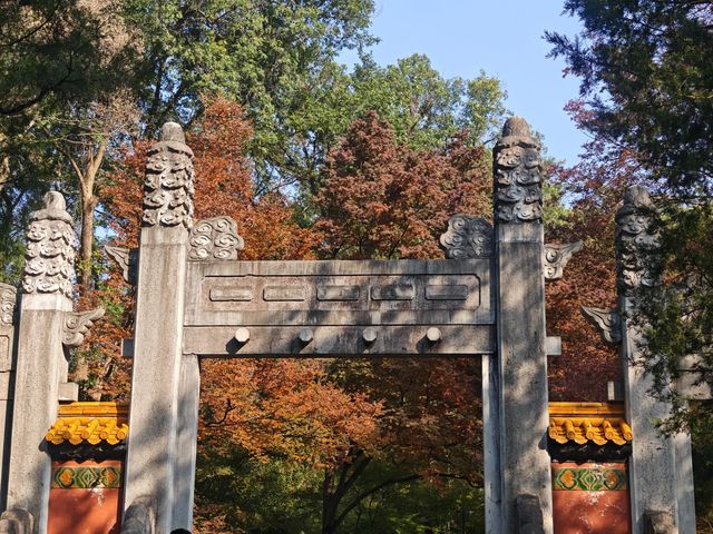 高效打卡經典路線，親測不踩雷！