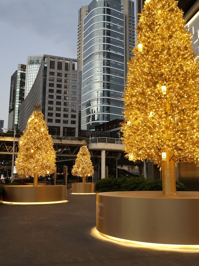 廣州聖誕必拍!K11金色聖誕樹亮燈美哭了 廣州聖誕必拍!K11金色聖誕樹亮燈美哭了