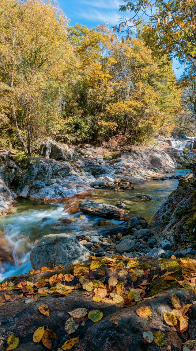 陝西小九寨！黃柏塬2日遊超全攻略