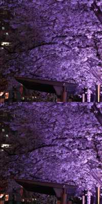 上海真的殺瘋了！！！！！！！！！！！！！