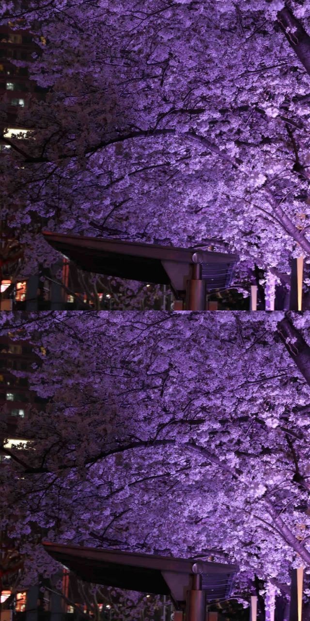 上海真的殺瘋了！！！！！！！！！！！！！