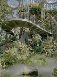 Shanghai’s Ultimate Urban Jungle Adventure🎉: Parent-Child Weekend Guide 🌿🤩