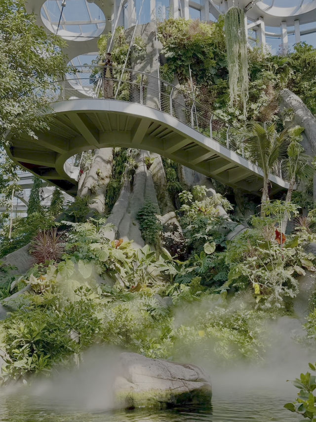 Shanghai’s Ultimate Urban Jungle Adventure🎉: Parent-Child Weekend Guide 🌿🤩 Shanghai’s Ultimate Urban Jungle Adventure🎉: Parent-Child Weekend Guide 🌿🤩