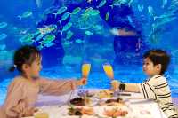 感恩季|沐浴陽光，奢享海島時光