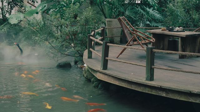 The here|藏著寵物友善的森系烏托邦 The here|藏著寵物友善的森系烏托邦