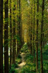 成都市區免費公園 | 升仙湖Citywalk