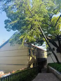 上海 |登佘山之巔,聆聽時光頌詩