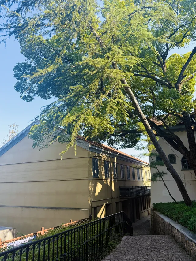 上海 |登佘山之巔,聆聽時光頌詩 上海 |登佘山之巔,聆聽時光頌詩