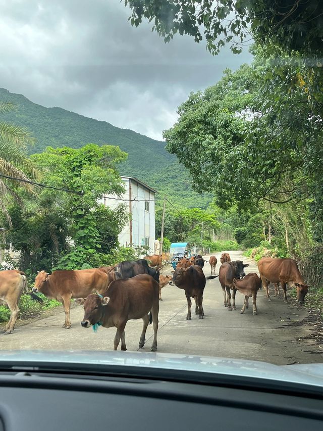 曲靖等地攻略來啦老友出行必看超讚 曲靖等地攻略來啦老友出行必看超讚