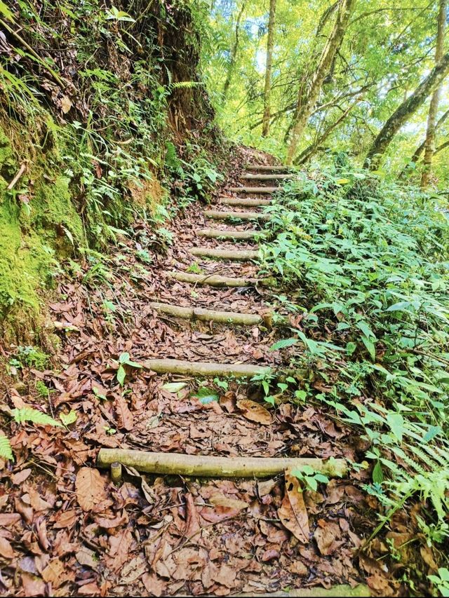騰衝1日包車遊省心又盡興