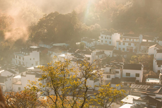 婺源石城秋日行攝全攻略｜沉浸於紅葉晨霧的水墨畫境