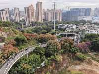 2025廈門徒步之山海步道全程