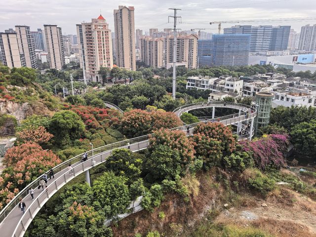 2025廈門徒步之山海步道全程