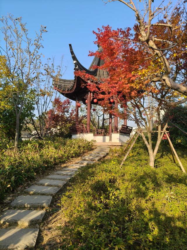 這家唐寅故居旁的園林酒店太絕了! 這家唐寅故居旁的園林酒店太絕了!