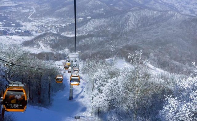 冬日玩雪天花板攻略|東北+新疆必打卡,滑雪/霧淞/藍 冬日玩雪天花板攻略|東北+新疆必打卡,滑雪/霧淞/藍