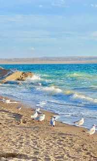 青海托素湖誤入戈壁的藍寶石