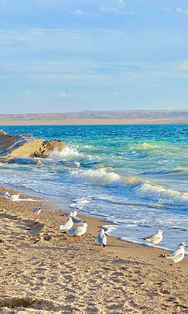 青海托素湖誤入戈壁的藍寶石