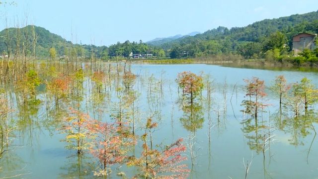 【隱藏的世外桃源】豐禾讓水湖讓你一秒鐘愛上這片藍天碧水 【隱藏的世外桃源】豐禾讓水湖讓你一秒鐘愛上這片藍天碧水