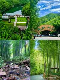 一半是湖水,一半是竹海,溧陽的美,超出你想像!