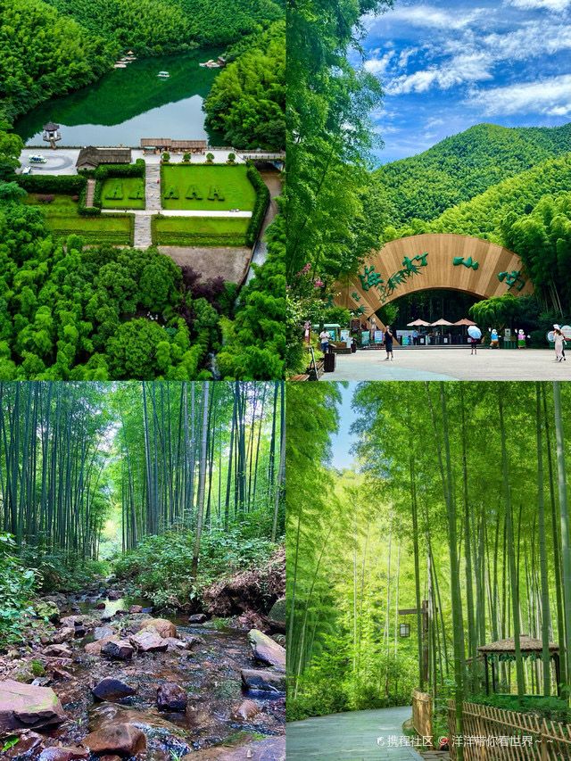 一半是湖水,一半是竹海,溧陽的美,超出你想像! 一半是湖水,一半是竹海,溧陽的美,超出你想像!