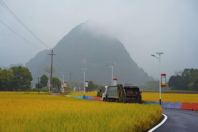 陽春山水畫廊：稻浪翻湧的金色詩篇