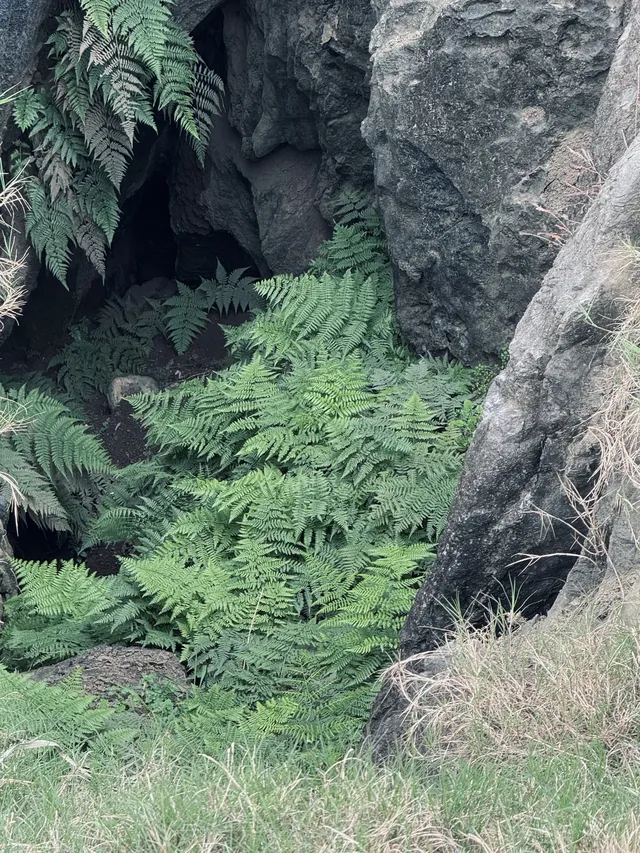 安順徒步天花板,被問爆的野趣攻略 安順徒步天花板,被問爆的野趣攻略