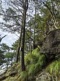 竹林寺∽廬山“空中佛國”！