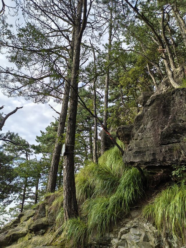 竹林寺∽廬山“空中佛國”！