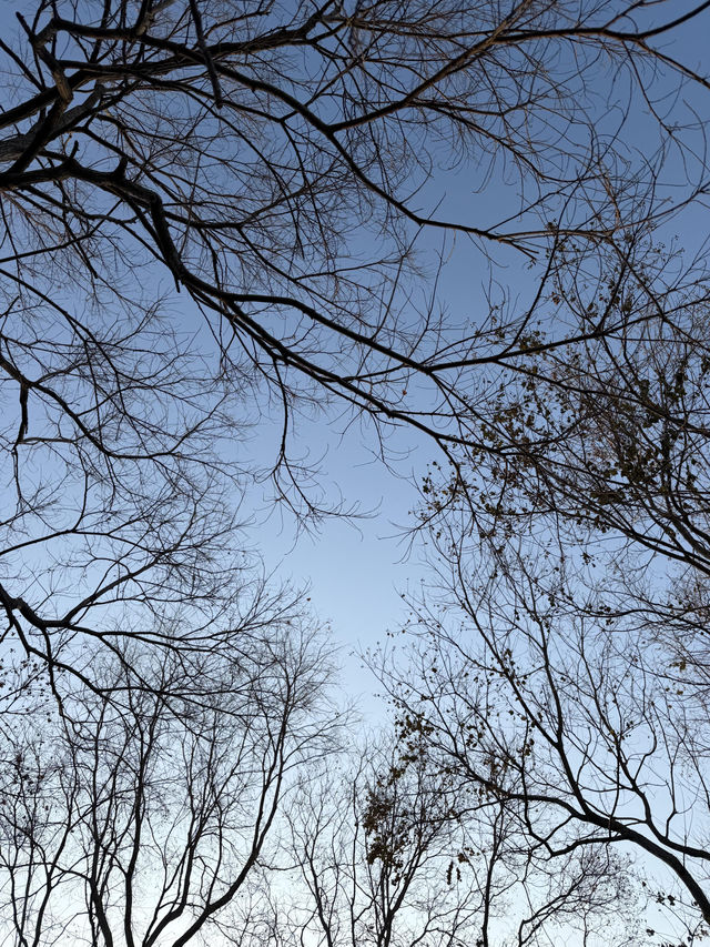 青島冬日Seawalk新路線太平角公園拍照攻略Get! 青島冬日Seawalk新路線太平角公園拍照攻略Get!