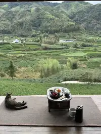 武夷山週末遊|兩日一晚吸氧飲茶計劃🫖