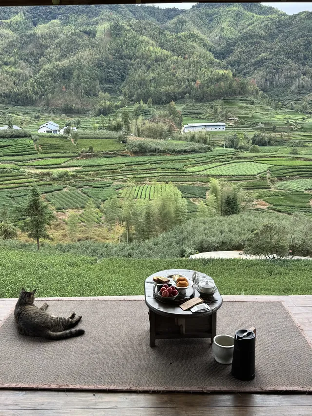 武夷山週末遊|兩日一晚吸氧飲茶計劃🫖 武夷山週末遊|兩日一晚吸氧飲茶計劃🫖