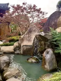 live赴一場人少景美的寶山寺唐風紅葉之約