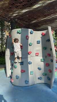 避開人擠人深圳灣親子騎行攻略,新手友好