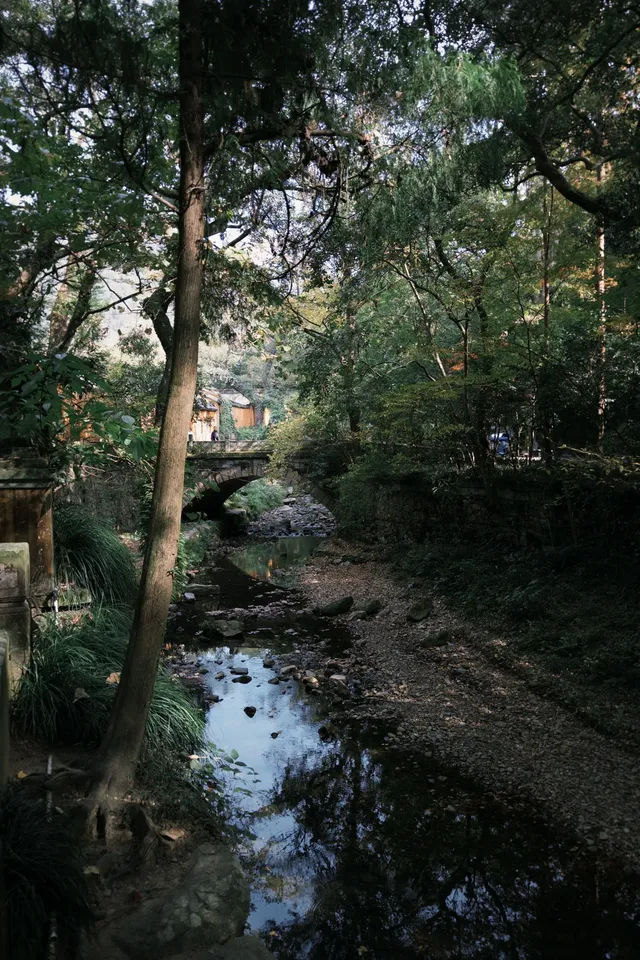 只因國清寺,去了一趟台州!(不自駕交通) 只因國清寺,去了一趟台州!(不自駕交通)