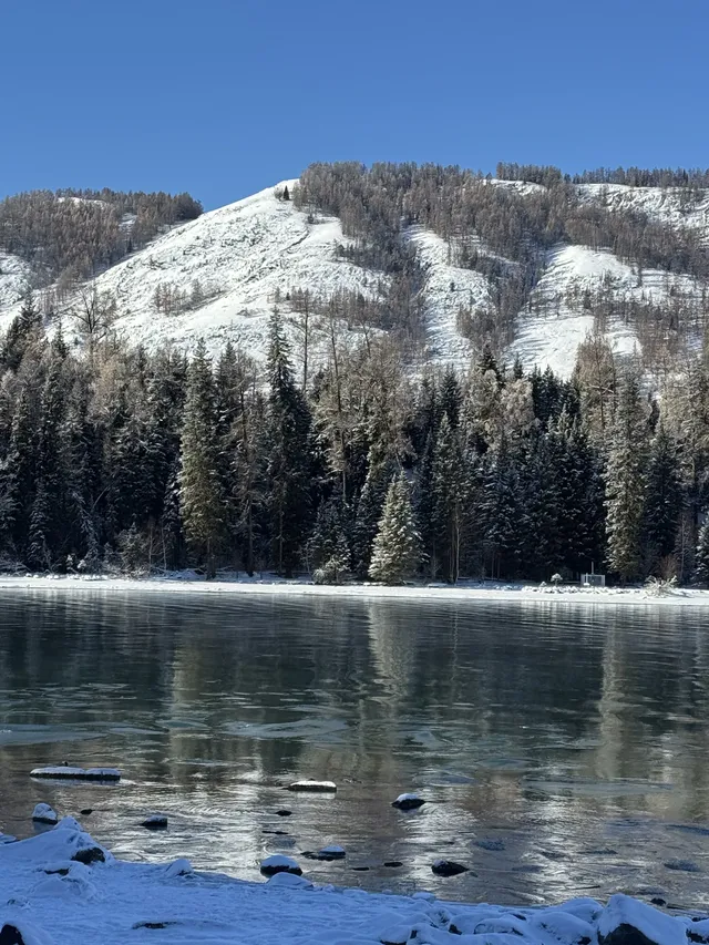 喀納斯自駕旅遊攻略11.25實況live