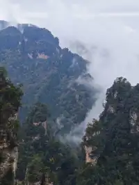 從張家界回來!美到失語!!!