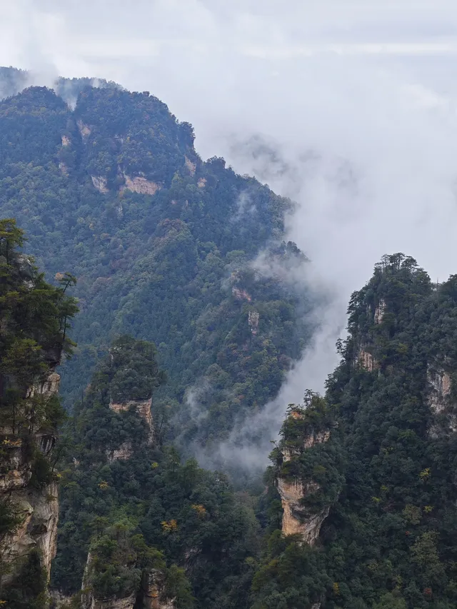 從張家界回來!美到失語!!! 從張家界回來!美到失語!!!