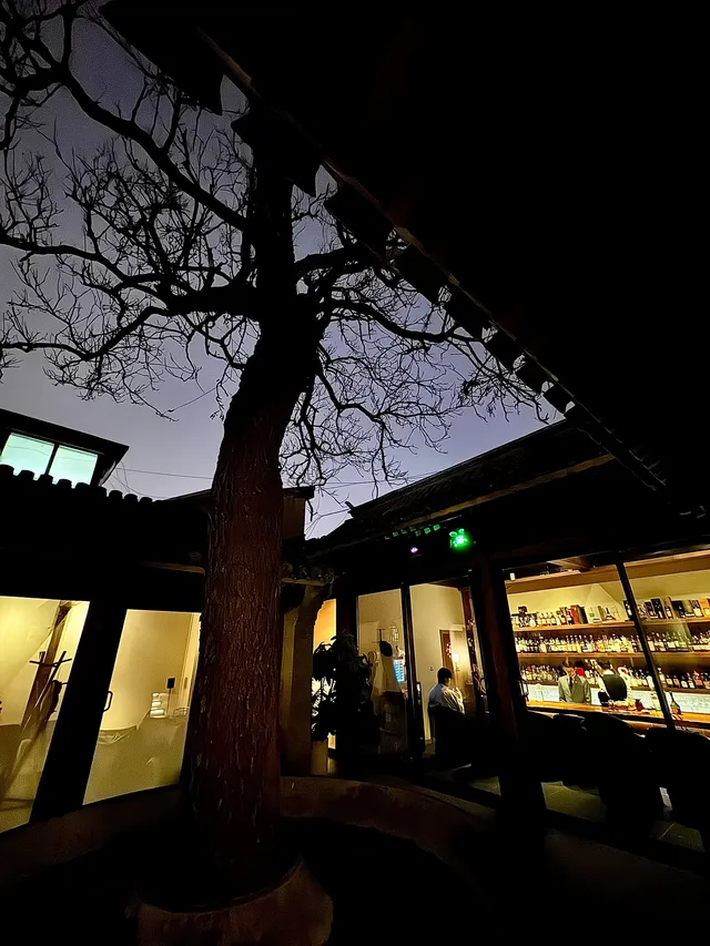 北京冬天 個胡同深處的大隱隱於市 