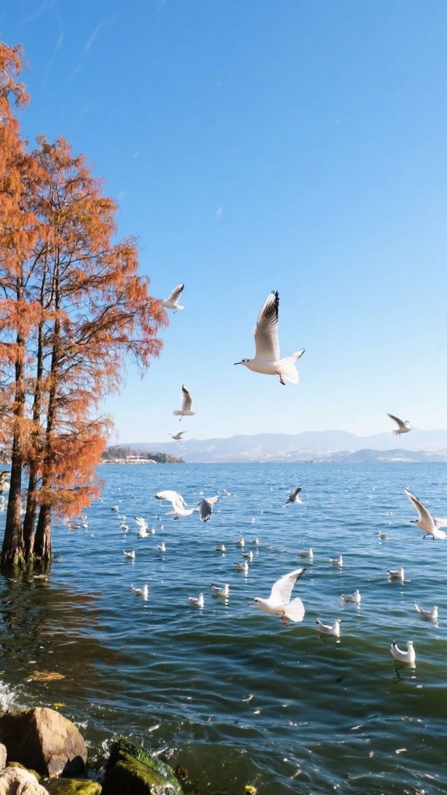 冬季反向遊的四個溫暖城市！