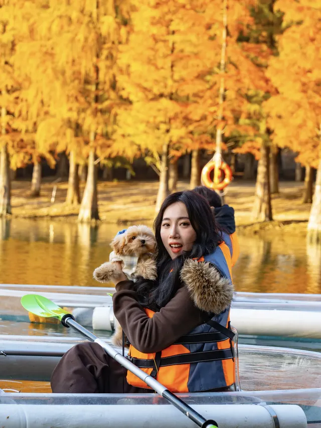 在常州!虎丘同款網紅玻璃船,絕美! 在常州!虎丘同款網紅玻璃船,絕美!