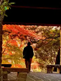 12.5號實拍 | 魯迅公園週末應該會有萬人參觀